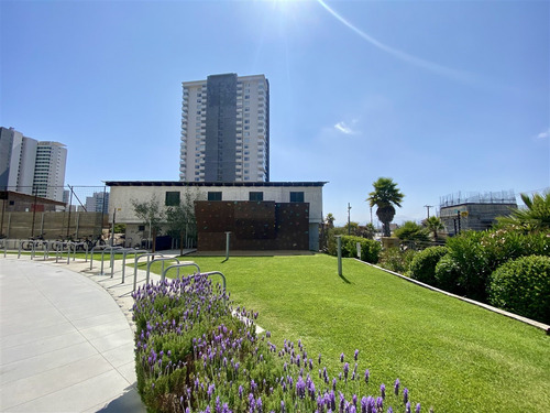 Dpto.en Edificio Wave- Costa De Montemar 1d1b Estac Y Bodega