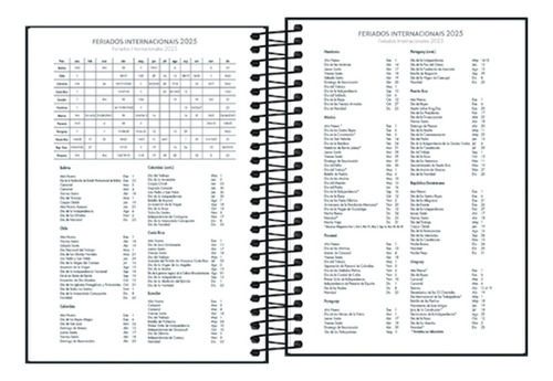 Agenda 2025 Diaria Spice Espiral Cores M6 Tilibra 160 Fls Capa Cinza