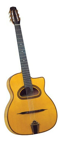 Guitarra  Dg-370 Profesional Jazz Gitano