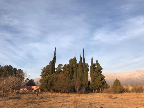 Imagen 9 de 22 de Campo Con Casa Y Galpon De 6 Ha En Villa De Las Rosas