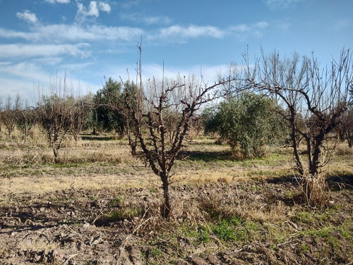 Imagen 5 de 11 de Terreno 10mts/2 Oportunidad