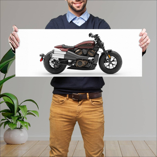Cuadro 30x80cm Moto Harley Davidson Sportster 4