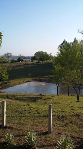 Imagem 2 de 27 de Excelente Sitio A Venda Em Pereiras - 531