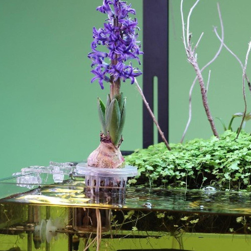 Soporte Acuático Para Taza De Planta Y Tanque De Ajustable