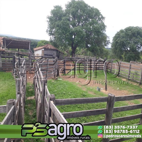 Imagem 22 de 27 de Fazenda À Venda, 14000000 M² Por R$ 7.000.000,00 - Setor Central - Bonfinópolis/go - Fa0154