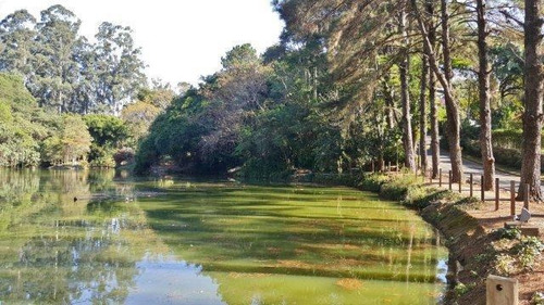 Imagem 16 de 20 de Terreno À Venda, 2845 M² Por R$ 1.600.000,00 - Jardim Mediterrâneo - Cotia/sp - Te7989
