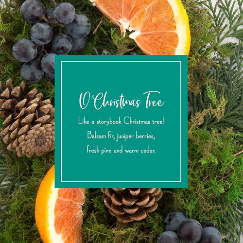Imagen 5 de 5 de Scentsicles, White Winter Fir Scented Ornament Olor A Pino