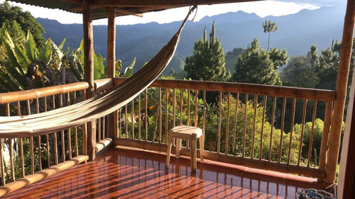 Imagen 8 de 18 de Venta Finca Alto Del Guamo Manizales