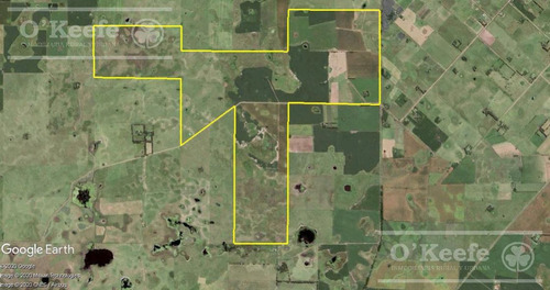 Imagen 9 de 13 de 960 Has En San Miguel Del Monte - 40 % Agricola - Excelente Unidad Mixta
