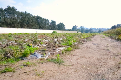 Terreno En Renta Entre Cuautla Y México Amecameca Varios Giros.