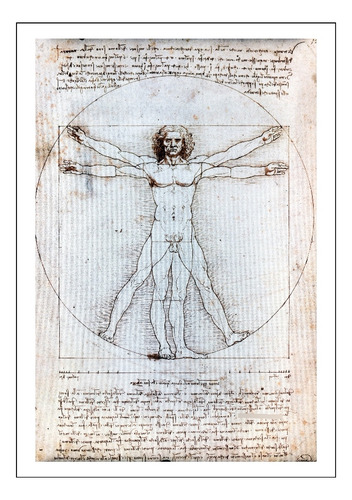 Leonardo Da Vinci El Hombre De Vitruvio Impresión 48x33cm