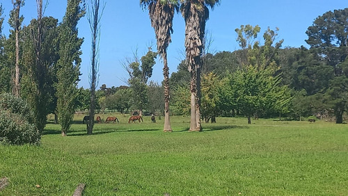 Campo En Fatima