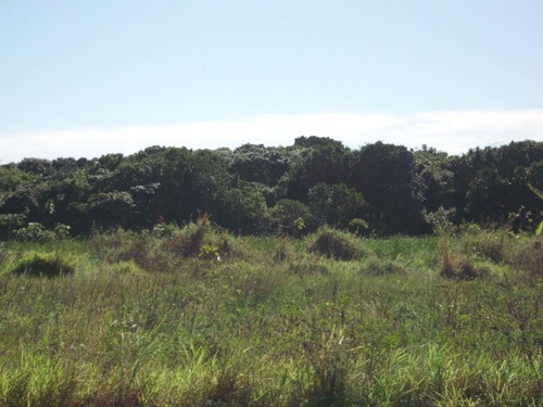 Imagem 1 de 1 de Terreno Área Livre Em Ilha Comprida - 1033