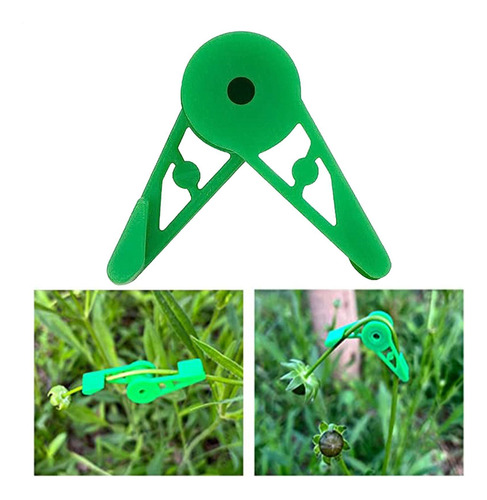 Clips De Entrenamiento De Plantas De Entrenador De Bud Clips