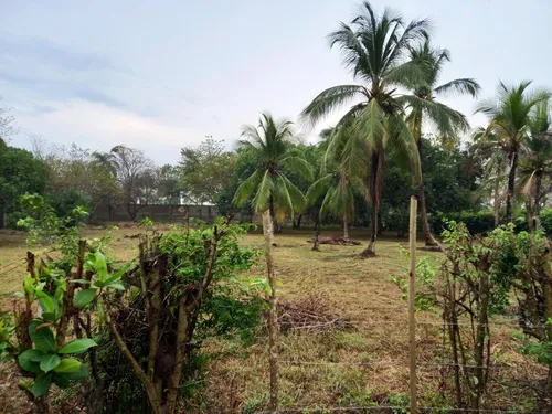Lote Con Amplias Posibilidades De Desarrollo Cod 18401