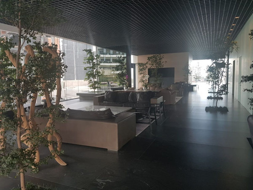 Vidalta Oportunidad De Inversión, Bosque De Las Lomas