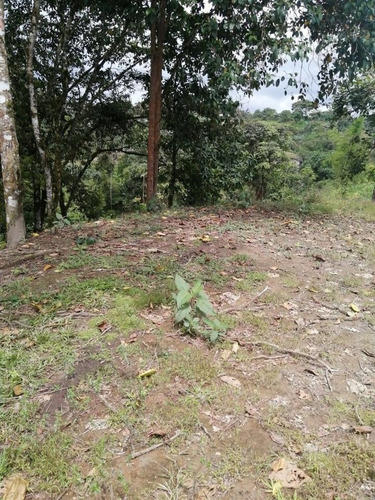 Terreno De 1750m2 En San Miguel De Los Bancos