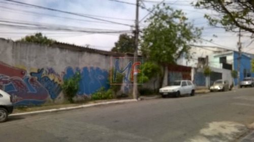 Imagem 8 de 30 de Ref 7747 Excelente Terreno Bairro Itaquera, Com 1.000 M² , Próximo A Avenida Campanela. Bom Para Investidores Que Pretendem Construir. - 7747