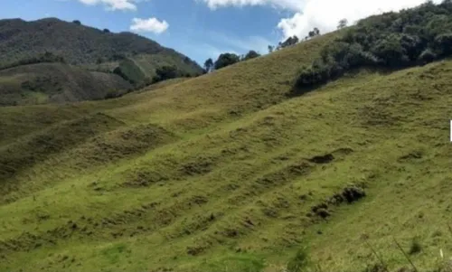 Bloque De 123 Hectareas Para Aguacate Hass En Abejorral