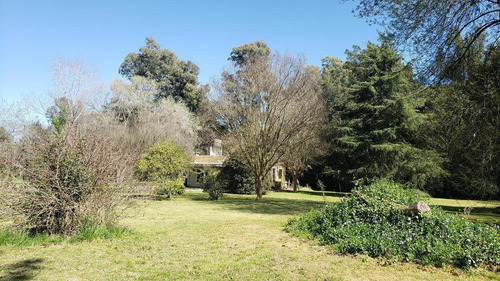 Oportunidad Casa 7500 M2 Sobre 2 Lotes - Abasto