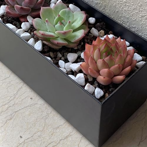 Maceta De Acero Moderna Para Plantas - Macetero Rectangular