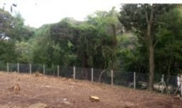 Terreno Em Tristeza - Mi15283