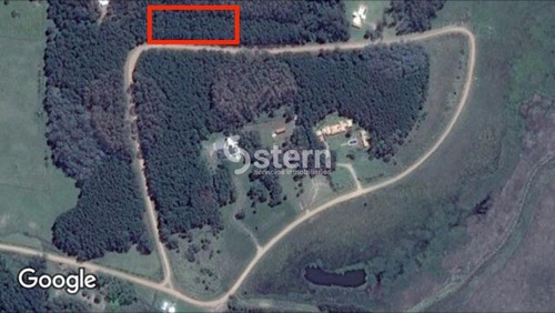 Imagen 2 de 9 de Venta De Chacra, Laguna Del Diario, Maldonado