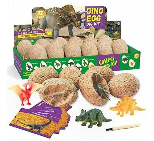 Xxtoys Dino Egg Dig Kit Dinosaurio Huevos 12 Kits De 2vfrg