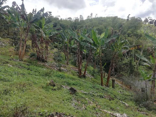 Imagen 11 de 30 de Vendo Finca En Avenida Condina Precio De Oportunidad