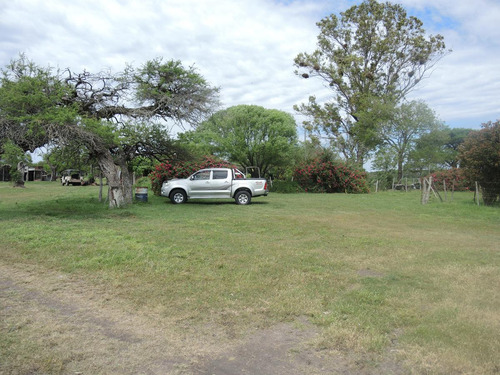 Campo En Venta, Villaguay, Entre Ríos