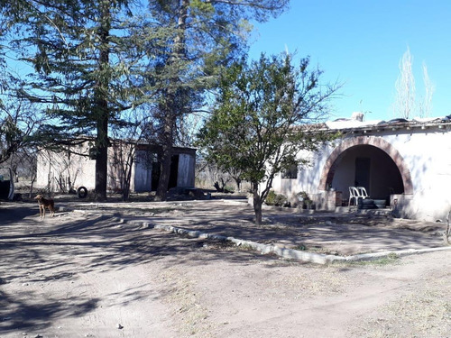 Imagen 1 de 4 de Finca En Venta En Cuadro Nacional