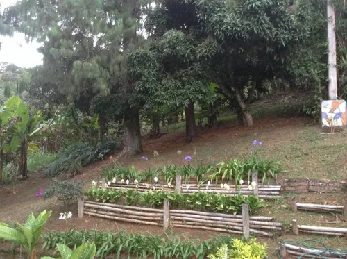 Finca En Venta En Felidia - Las Nieves. Cod V5401