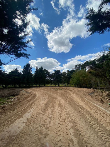 Imagen 8 de 11 de Terreno - Matheu - Barrio San Jeronimo