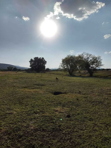 Construye Tu Casa Campestre De Tus Sueños Terrenos Accesible