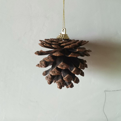 2 X 10x Decoraciones Colgantes De Conos De Pino Navideños