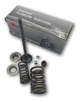 Comprar Kit Valvula Solo Escape Suzuki Gn125 En125 Original Sol Moto
