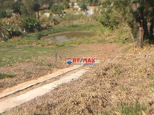 Imagem 18 de 23 de Chácara Com 4 Dormitórios À Venda, 7000 M² Por R$ 600.000,00 - Sousas - Campinas/sp - Ch0128