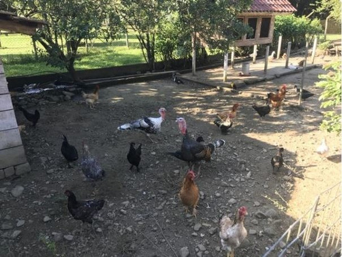 Linda Chácara No Quiriri | 30.000 M2 | Estuda Permuta Até 50% Do Valor - Sa00158 - 32388392