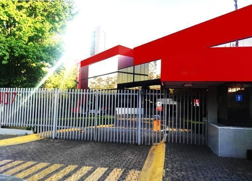 Oficinas En Renta Sur De Cdmx ¡oportunidad!