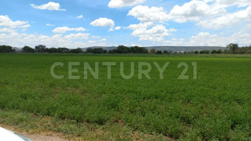 Terreno Rustico En Venta En Rincon De Romos