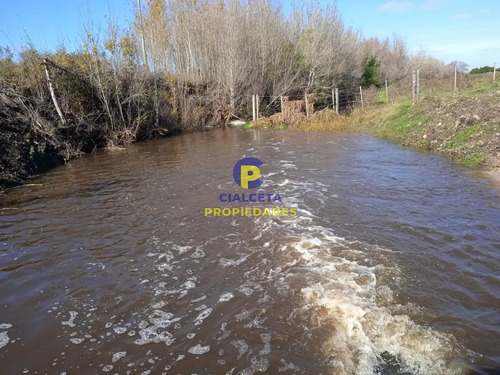 2 Hectáreas Y Media Con Aguada En El Fondo