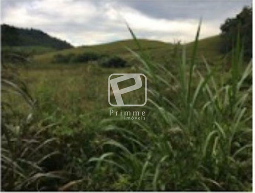 Imagem 4 de 4 de Terreno Industrial Em Timbo/sc - 4836