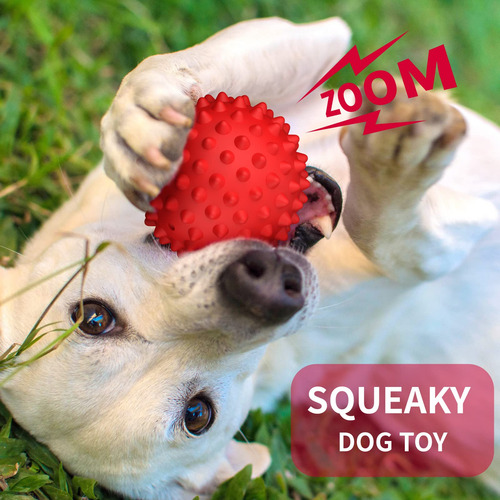 Dog Squeaky Toy Apasiri, Versión Mejorada Para Perros Grande