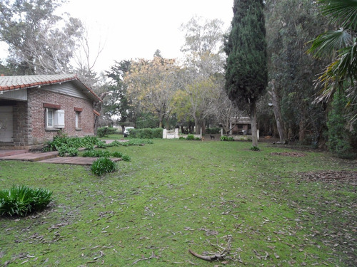 Imagen 5 de 30 de Latorre Prop Vende Campo De 4 Hectareas,cerca De La Ruta 11,del Mar Y Playas,varios Usos,hermosa Arboleda