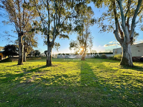 Lote En Venta La Cesarina