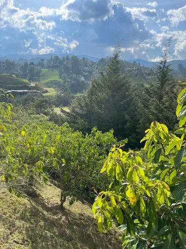Lote En Venta En El Retiro Vereda Pantanillo. Cod V15613