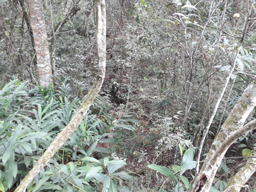 Chácara No Sul De Minas , Cidade De Seritinga, Apenas 3,5 Klm De Terra , Lago , Riacho. - 508