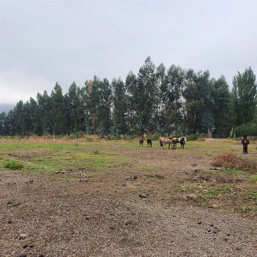 Terreno Construccion  En Venta En San Fernando