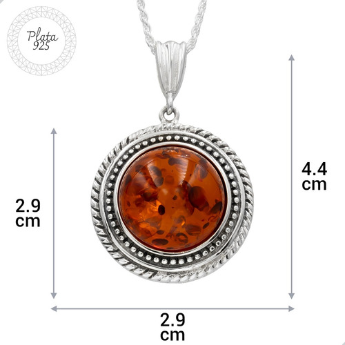 Colgante Escudo De Ámbar + Cadena Plata Fina 925 | N19