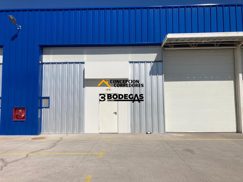 Arriendo Bodega De 300 M2 En Camino A Noviciado.